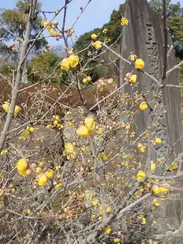 横浜　西方寺(神奈川県)