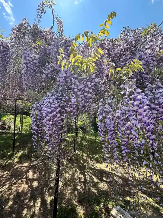 天台宗 五大山 白毫寺(兵庫県)
