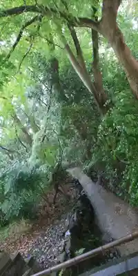 賀茂御祖神社（下鴨神社）(京都府)