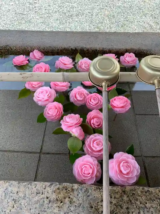 貴布禰神社の手水舎