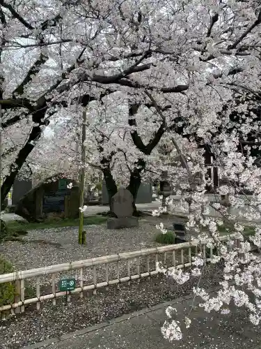 吉祥寺(東京都)
