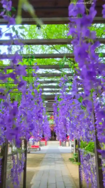 越谷香取神社(埼玉県)