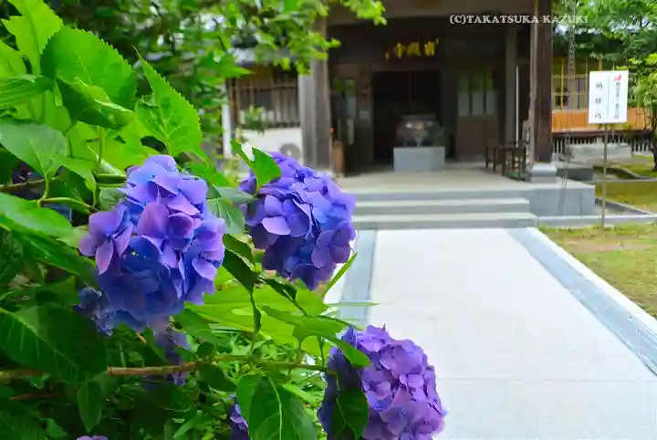 岩殿寺(神奈川県)