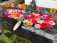 揖宿神社の{uncategorized: "未分類", other: "その他", undefined: "問題あり", building: "その他建物", grave: "お墓", sacred_gate: "鳥居", guardian: "狛犬", statue: "像", buddha: "仏像", history: "歴史", nature: "自然", garden: "庭園", animal: "動物", pagoda: "塔", temizu: "手水舎", mountain_gate: "山門・神門", sanctuary: "本殿・本堂", subordinate: "末社・摂社", art: "芸術", scenery: "景色", jizo: "地蔵", ema: "絵馬", goshuin: "御朱印", omikuji: "おみくじ", items: "授与品その他", amulet: "お守り", goshuincho: "御朱印帳", eats: "食事", festival: "お祭り", votive_dance: "神楽", shichigosan: "七五三参", wedding: "結婚式", experience: "体験その他", initially: "初詣", around: "周辺", anti_infection: "感染症対策"}