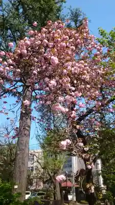 寛永寺(根本中堂)(東京都)