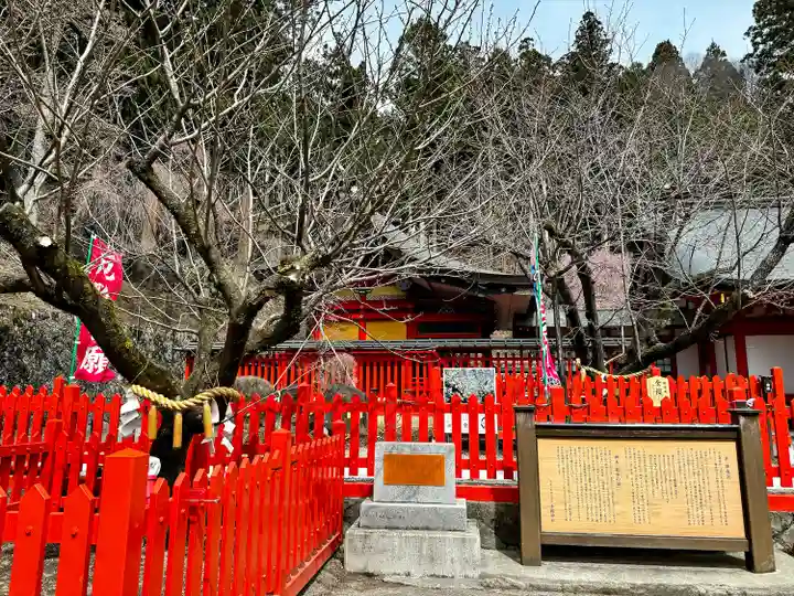 金櫻神社(山梨県)