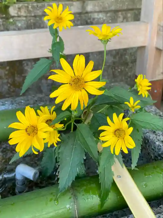 伊香保神社(群馬県)