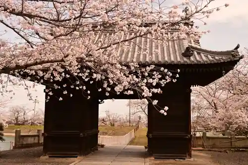 久妙寺(愛媛県)