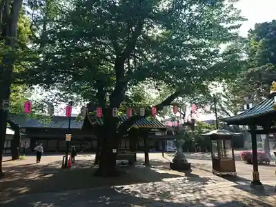 妙法寺のその他建物