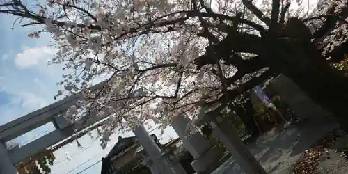 出雲大神宮(京都府)