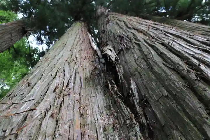 鹿島大神宮の自然