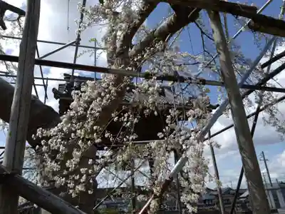 宿縁寺(愛知県)