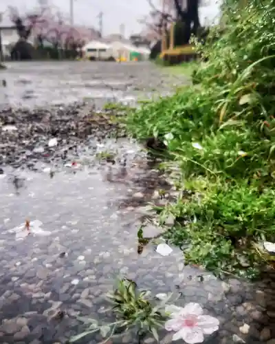 尾張大國霊神社（国府宮）(愛知県)
