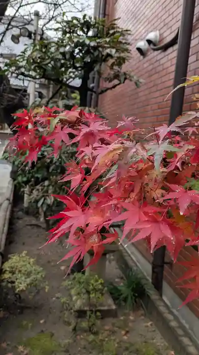 墨染寺(桜寺)(京都府)