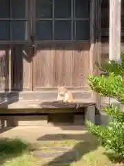 稲荷神社(北海道)