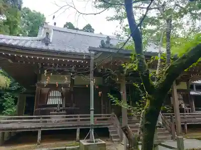 勝持寺(花の寺)の本殿・本堂