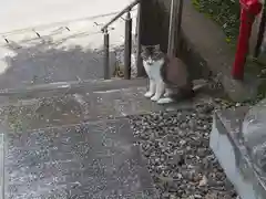 天照皇太神宮の動物