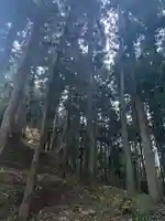 大宮温泉神社(栃木県)