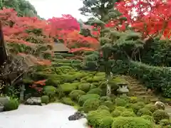 金福寺の庭園