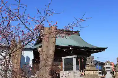 熊野福藏神社の本殿・本堂