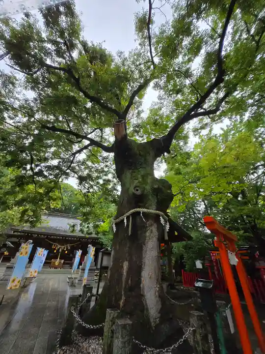 新田神社(東京都)