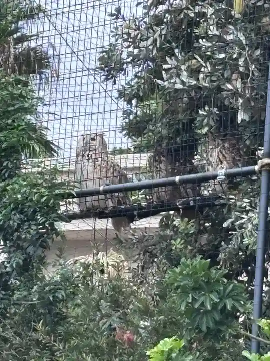 柏諏訪神社(千葉県)