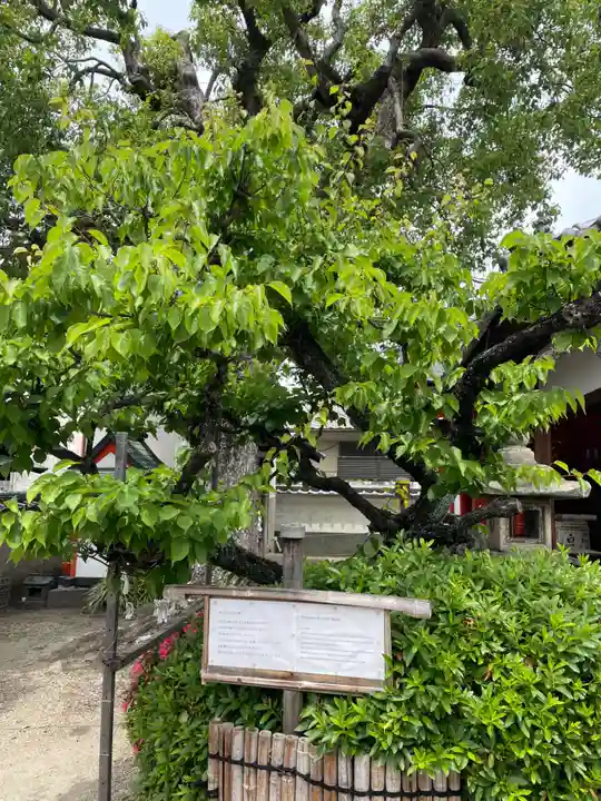 飛鳥神社(奈良県)
