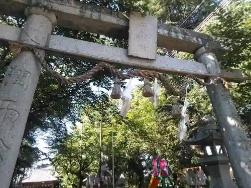 白髭神社の鳥居