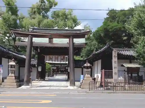 白峯神宮の鳥居