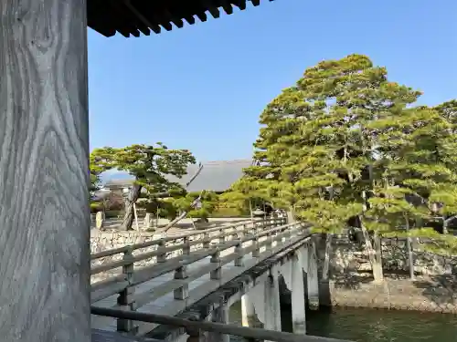 満月寺（浮御堂）の{uncategorized: "未分類", other: "その他", undefined: "問題あり", building: "その他建物", grave: "お墓", sacred_gate: "鳥居", guardian: "狛犬", statue: "像", buddha: "仏像", history: "歴史", nature: "自然", garden: "庭園", animal: "動物", pagoda: "塔", temizu: "手水舎", mountain_gate: "山門・神門", sanctuary: "本殿・本堂", subordinate: "末社・摂社", art: "芸術", scenery: "景色", jizo: "地蔵", ema: "絵馬", goshuin: "御朱印", omikuji: "おみくじ", items: "授与品その他", amulet: "お守り", goshuincho: "御朱印帳", eats: "食事", festival: "お祭り", votive_dance: "神楽", shichigosan: "七五三参", wedding: "結婚式", experience: "体験その他", initially: "初詣", around: "周辺", anti_infection: "感染症対策"}