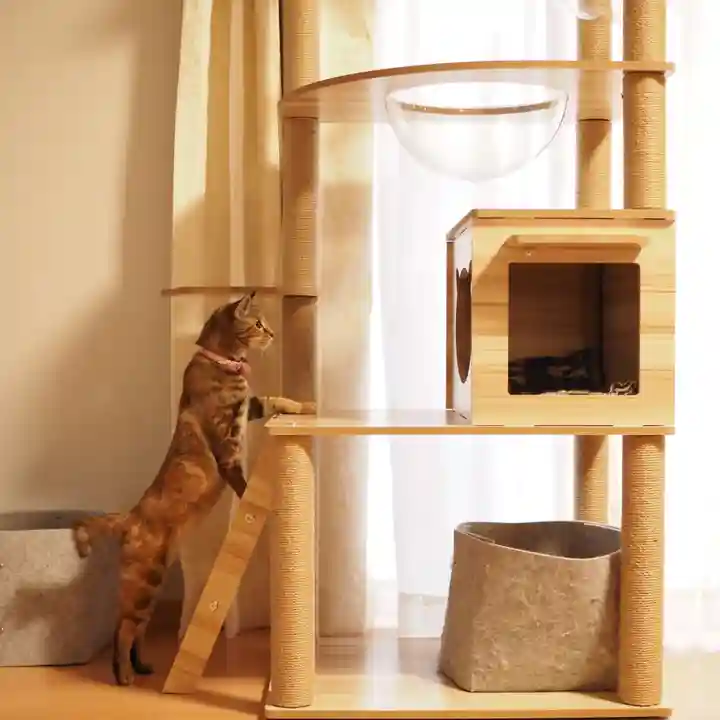 天王山 安楽寺(福井県)