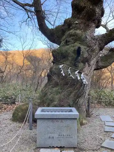 小川温泉神社(栃木県)