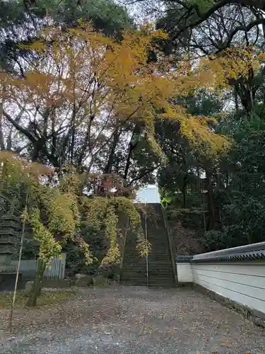 大興寺(香川県)