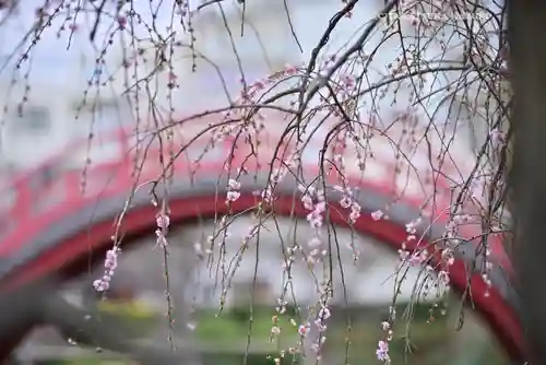 亀戸天神社(東京都)