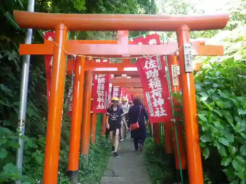 佐助稲荷神社の鳥居