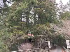 八幡神社（前組）(愛媛県)