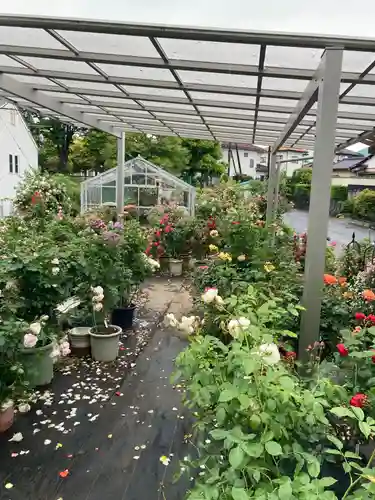 艫神社(茨城県)
