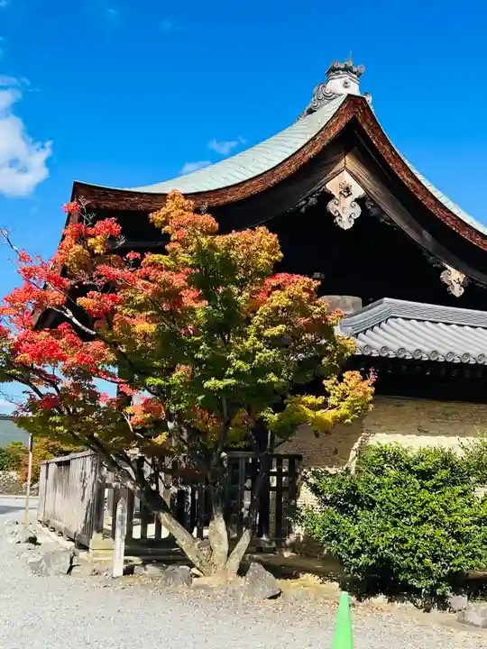 天龍寺(京都府)