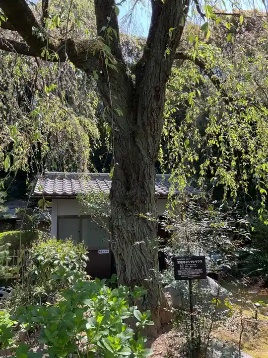 萬祥山常福寺(愛知県)