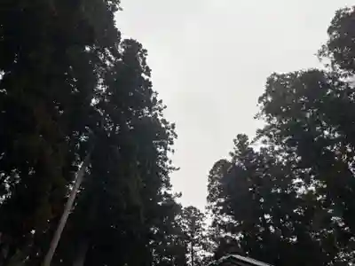 大宮温泉神社(栃木県)