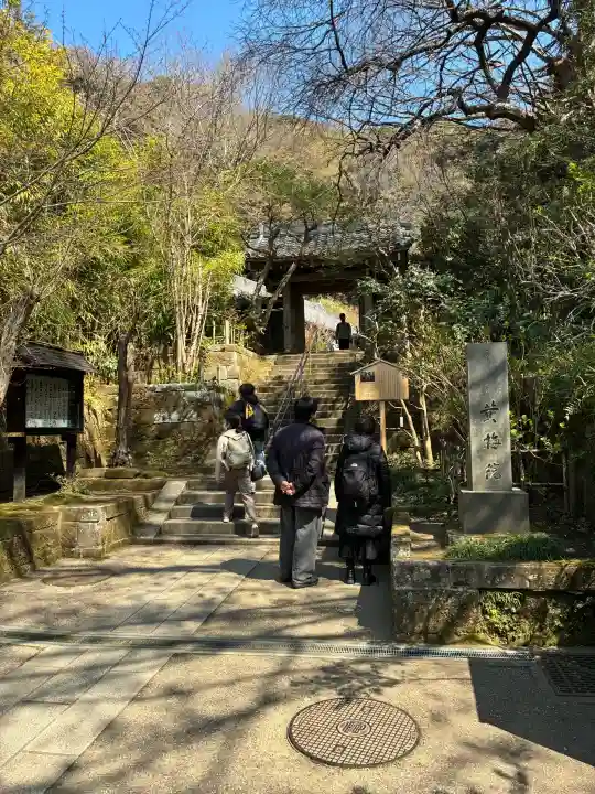 黄梅院(円覚寺塔頭)の{uncategorized: "未分類", other: "その他", undefined: "問題あり", building: "その他建物", grave: "お墓", sacred_gate: "鳥居", guardian: "狛犬", statue: "像", buddha: "仏像", history: "歴史", nature: "自然", garden: "庭園", animal: "動物", pagoda: "塔", temizu: "手水舎", mountain_gate: "山門・神門", sanctuary: "本殿・本堂", subordinate: "末社・摂社", art: "芸術", scenery: "景色", jizo: "地蔵", ema: "絵馬", goshuin: "御朱印", omikuji: "おみくじ", items: "授与品その他", amulet: "お守り", goshuincho: "御朱印帳", eats: "食事", festival: "お祭り", votive_dance: "神楽", shichigosan: "七五三参", wedding: "結婚式", experience: "体験その他", initially: "初詣", around: "周辺", anti_infection: "感染症対策"}