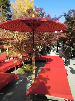 禅林寺(永観堂)(京都府)