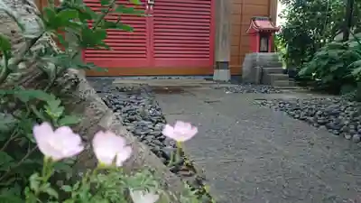 明徳稲荷神社の自然