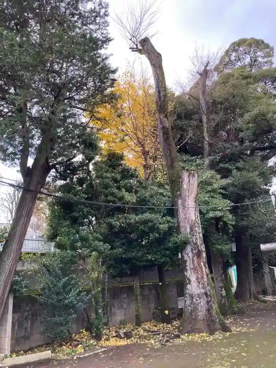 高円寺天祖神社(東京都)