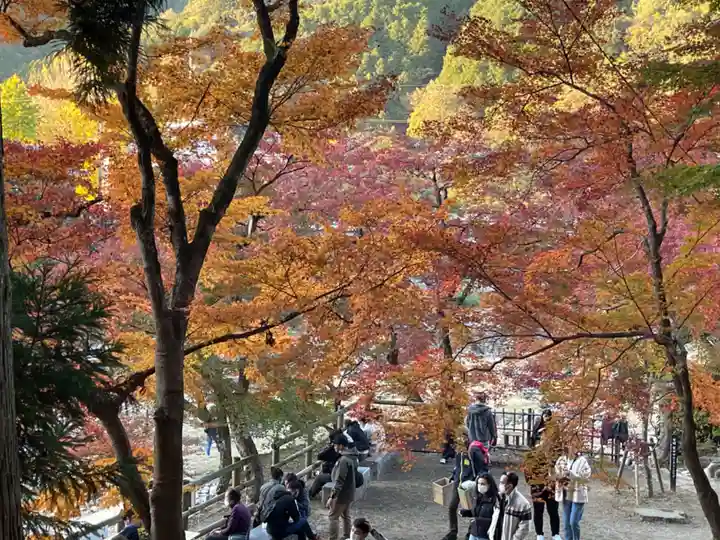 足助八幡宮の自然