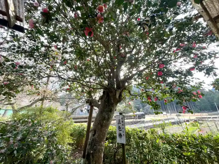 浄得寺(三重県)