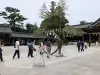 寒川神社(神奈川県)