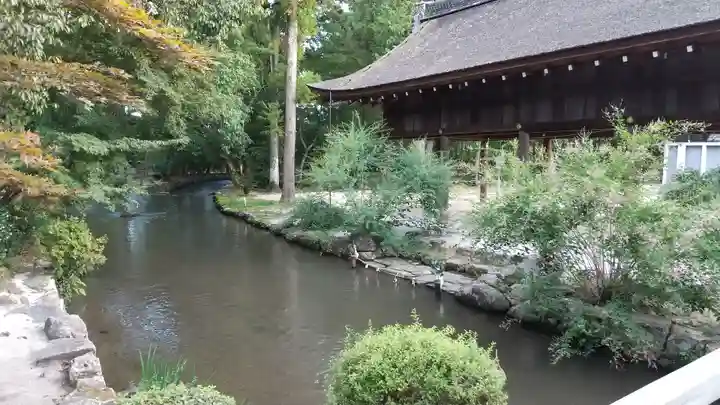 賀茂別雷神社(上賀茂神社)(京都府)
