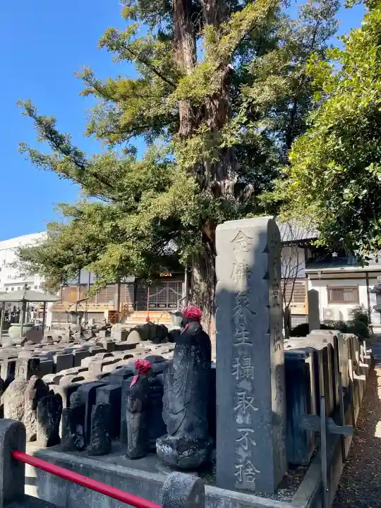 浄運寺の{uncategorized: "未分類", other: "その他", undefined: "問題あり", building: "その他建物", grave: "お墓", sacred_gate: "鳥居", guardian: "狛犬", statue: "像", buddha: "仏像", history: "歴史", nature: "自然", garden: "庭園", animal: "動物", pagoda: "塔", temizu: "手水舎", mountain_gate: "山門・神門", sanctuary: "本殿・本堂", subordinate: "末社・摂社", art: "芸術", scenery: "景色", jizo: "地蔵", ema: "絵馬", goshuin: "御朱印", omikuji: "おみくじ", items: "授与品その他", amulet: "お守り", goshuincho: "御朱印帳", eats: "食事", festival: "お祭り", votive_dance: "神楽", shichigosan: "七五三参", wedding: "結婚式", experience: "体験その他", initially: "初詣", around: "周辺", anti_infection: "感染症対策"}