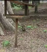 帯廣神社の動物